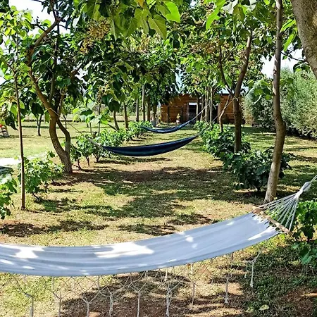 Avra Wooden House * Drama