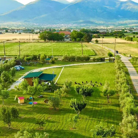 Avra Wooden House * Drama