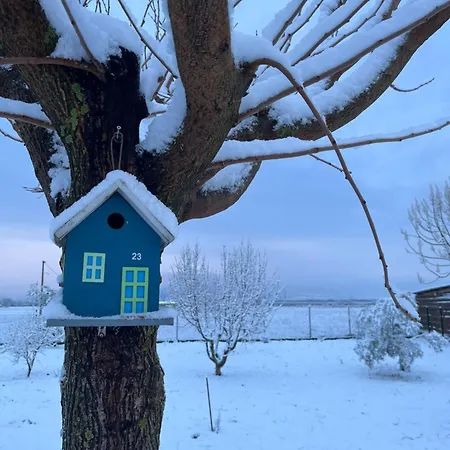Avra Wooden House Dráma
